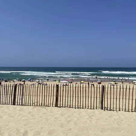 T2 Mezzanine, 5 Pers, Face Ocean A Vieux-boucau - Fr-1-379-180 Vieux-Boucau-les-Bains